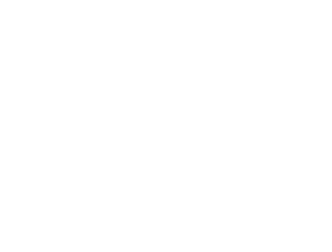 vision-infotech.org